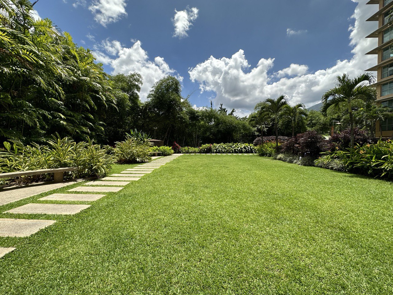 Campo Alegre-Premier11-Jardines2 Apartamento en Alquiler en Campo Alegre, Caracas – 60m², 1 Habitación, 1 Baño y 1 Puesto de Estacionamiento