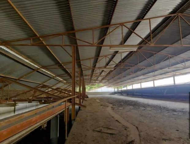 Galpón Industrial en Venta en Guatire, Miranda – 6.000m², 3 Baños y 10 Puestos de Estacionamiento