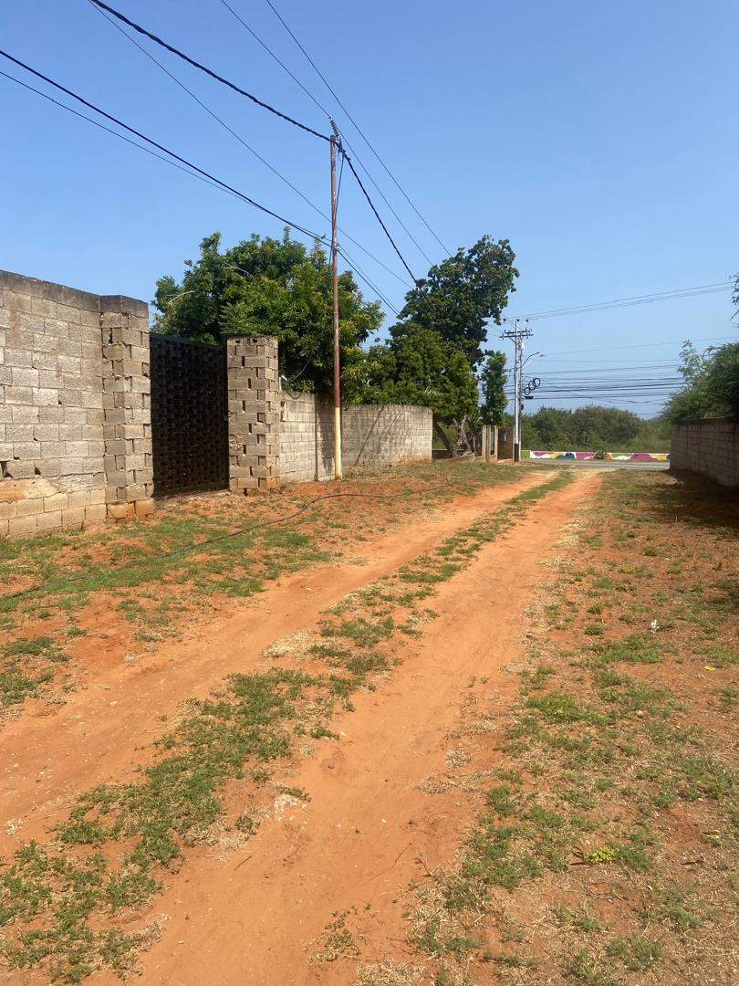 Vista Entrada Terreno Terreno en Venta en Antolín del Campo, Isla de Margarita – 607m²